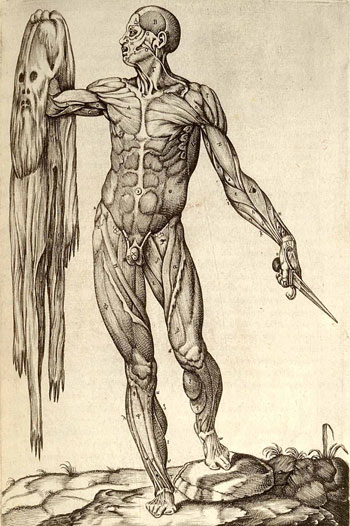 An engraving by Juan de Amusco Valverde, 'Historia de la composicion del cuerpo humano', from 1551. A human figure has flayed itself to display its musculature.