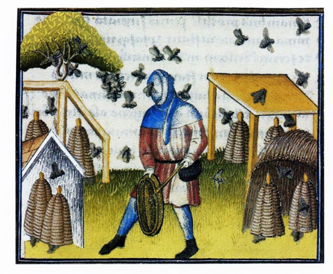 illustration of a fearless beekeeper from an illuminated manuscript
